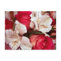 red and white happiness postcard postcard