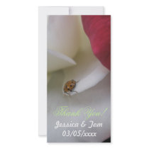 Red and White Ladybug Petals Wedding Photo Card Template
