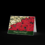 Red and White Poinsettias Holiday Card