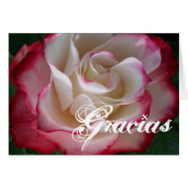 Red and White Rose Gracias Greeting Cards