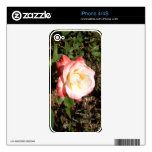 Red And White Rose Skins For The iPhone 4S