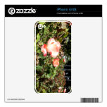 Red And White Roses Decals For The iPhone 4