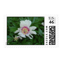 Red and White Stamp