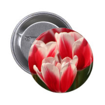 Red and White Tulips Buttons