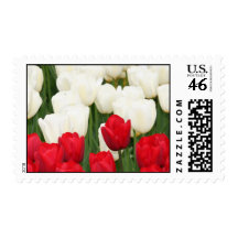 Red and White Tulips Postage Stamp