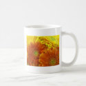 Red and Yellow African Daisies mugs