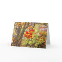 Red and Yellow Berries Thank You Card by dduhaime55 Red and Yellow Berries Thank You Card