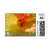 Red and Yellow Canna Postage Stamp