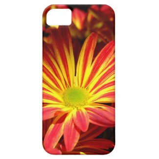 Red and Yellow chrysanthemum flowers customizable iPhone 5 Cover
