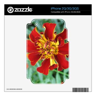 Red and Yellow Decal For The iPhone 2G