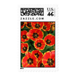 Red and Yellow Field of Tulips Stamp