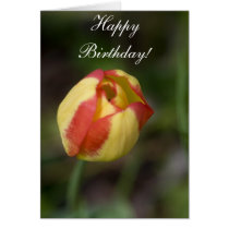 Red And Yellow Flower Birthday Card by sruhs Red And Yellow Flower Birthday Card