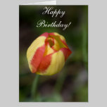 Red And Yellow Flower Birthday Card