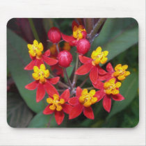 Red and yellow flower mousepad (butterfly weed)