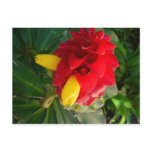 red and yellow flower postcard