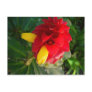 red and yellow flower postcard