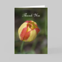 Red And Yellow Flower Thank You Card cards