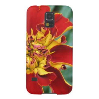 Red and Yellow Galaxy Nexus Case