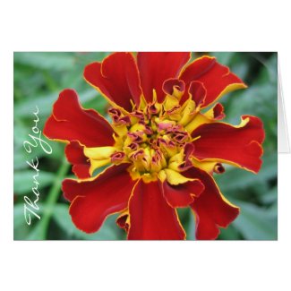 Red and Yellow Greeting Cards