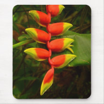 Red and Yellow Heliconia Flower Mousepad