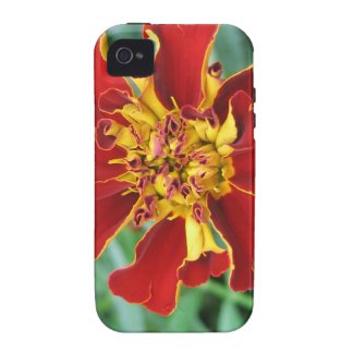 Red and Yellow iPhone 4/4S Case