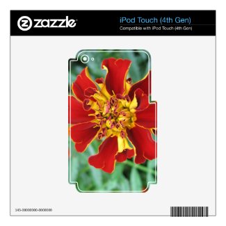 Red and Yellow iPod Touch 4G Skin