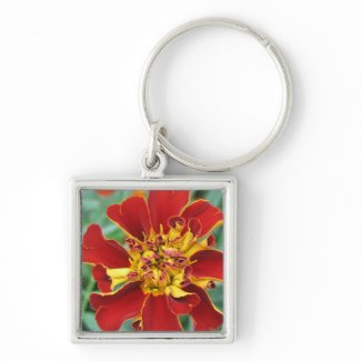 Red and Yellow Key Chains