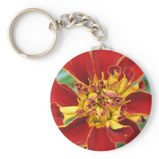 Red and Yellow Key Chains