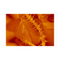 Red and Yellow Leaf posters