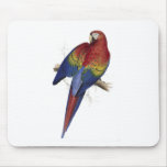 Red and Yellow Maccaw by Edward Lear Mousemat