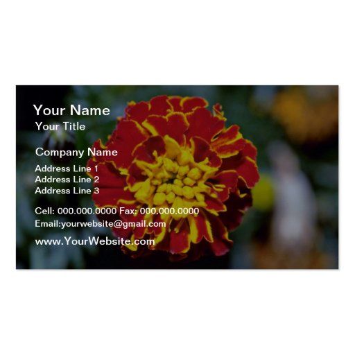 Red And Yellow Marigold flowers Business Card Templates (front side)