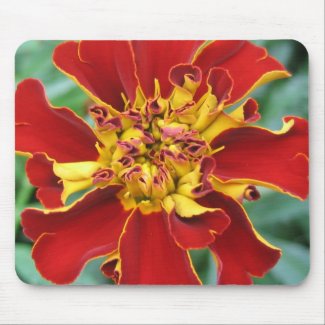 Red and Yellow Mouse Pads