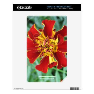 Red and Yellow NOOK Color Decals