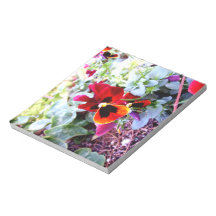 Red And Yellow Pansy Scratch Pads