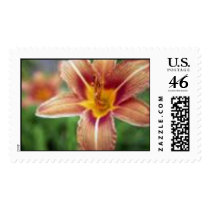 red and yellow postage