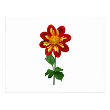 Red and Yellow Single Dahlia Postcard