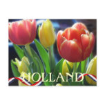 holland, tulips, tulip, postcard, flowers, red,