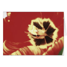 Red and Yellow Tulip Blank Greeting Card