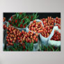 Red and Yellow Tulips Posters