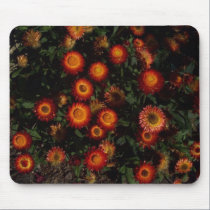 Red and yellow wild flowers mousepads