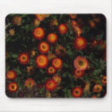 Red and yellow wild flowers mousepads