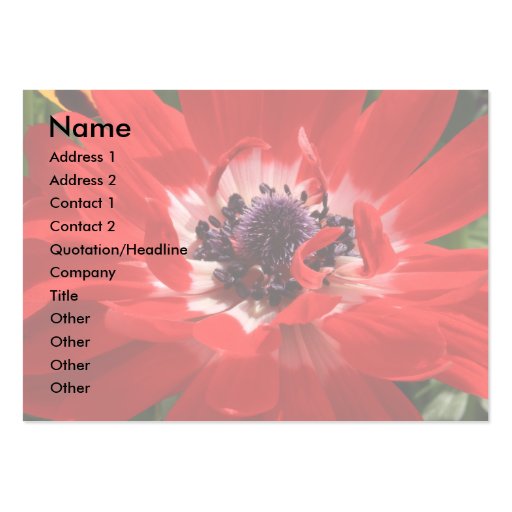 Red Anemone Business Card (front side)