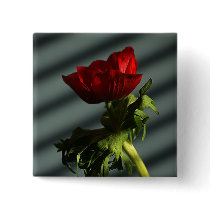 Red Anemone Button