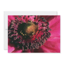 Red Anemone flowers Personalized Invites