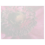 Red Anemone flowers Letterhead Template