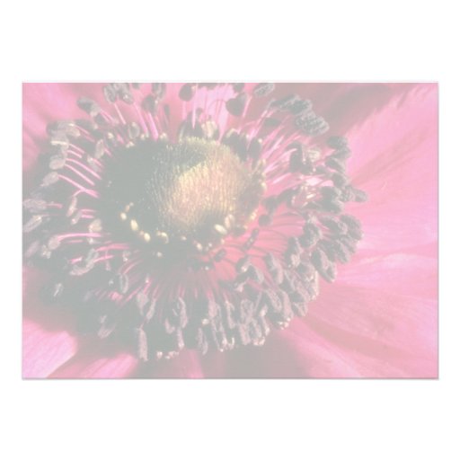 Red Anemone flowers Personalized Invites
