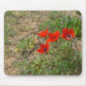 Red anemonies in green field mousepads