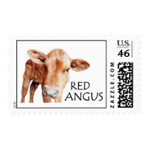 Red Angus Calf Postage Stamps
