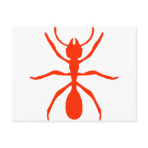 red ant postcards by Tomaniac red ant postcards