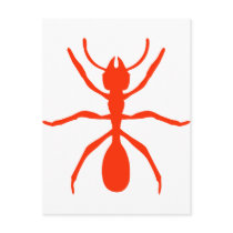 red ant postcards by Tomaniac red ant postcards